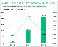 2026年一季度合肥市地区生产总值（GDP）3229.6亿元，同比增长6.8%