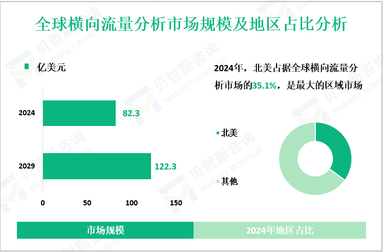 全球横向流量分析市场规模及地区占比分析