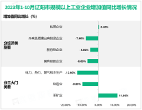 2023年1-10月辽阳市289户规模以上工业企业增加值同比实际下降5.2%