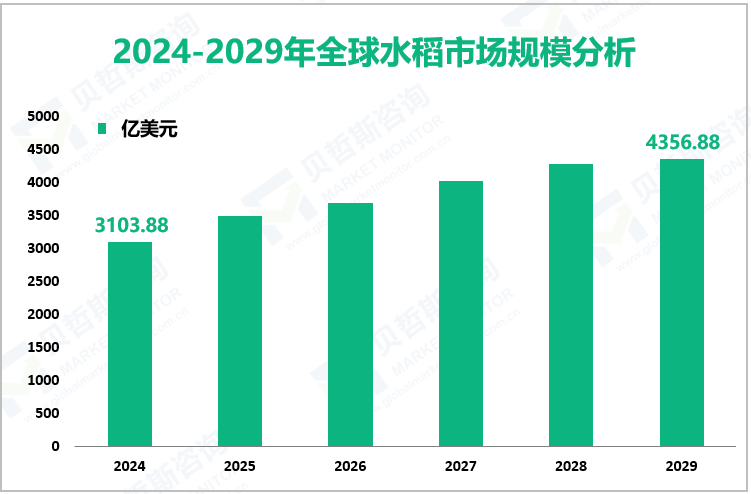 2024-2029年全球水稻市场规模分析