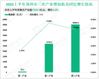 2025上半年郑州市实现地区生产总值（GDP）7329.3亿元，同比增长5.2%