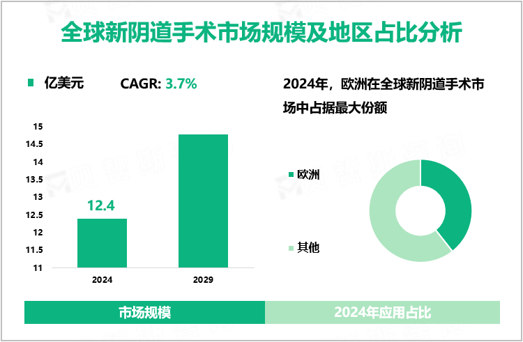 全球新阴道手术市场规模及地区占比分析