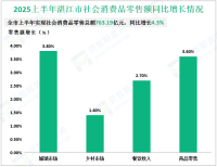 2025上半年湛江市实现社会消费品零售总额763.19亿元，同比增长4.3%