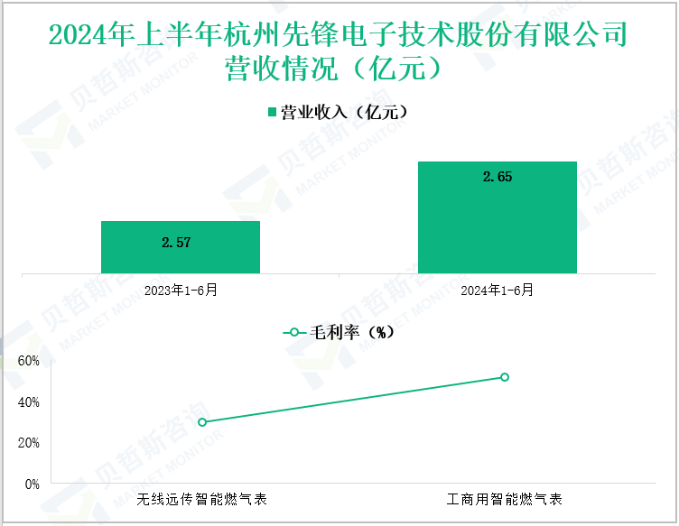 2024年上半年杭州先锋电子技术股份有限公司营收情况(亿元)