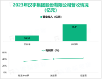 汉宇集团致力于家用电器排水泵产品的研发，其营收在2023年为10.91亿元