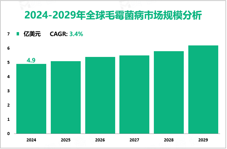 2024-2029年全球毛霉菌病市场规模分析