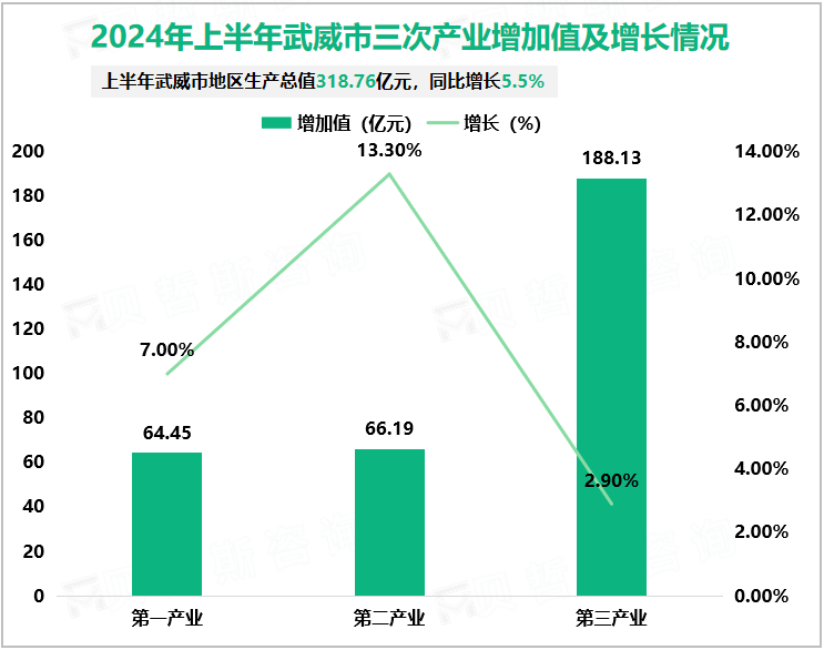 2024年上半年武威市三次产业增加值及增长情况