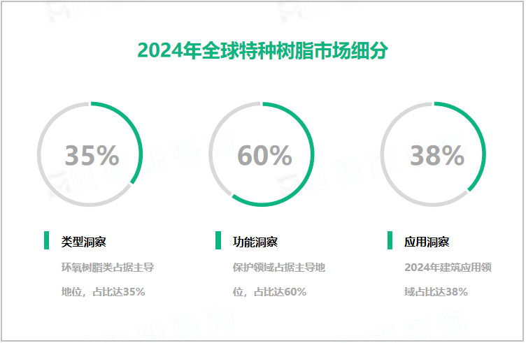 2024年全球特种树脂市场细分 