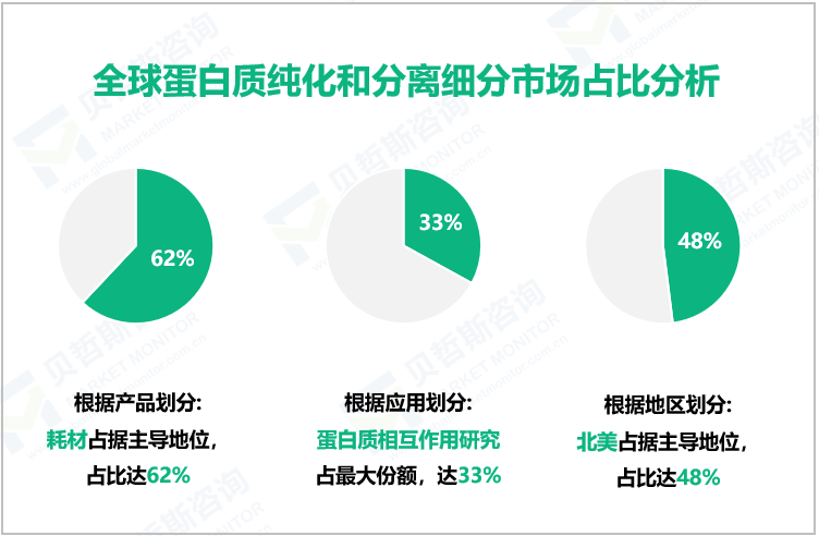 全球蛋白质纯化和分离细分市场占比分析