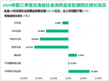 2024年1-9月青海省实现社会消费品零售总额706.44亿元，比上年同期下降3.1%