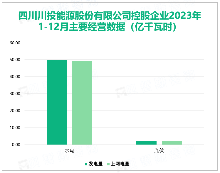 四川川投能源股份有限公司控股企业2023年1-12月主要经营数据（亿千瓦时）