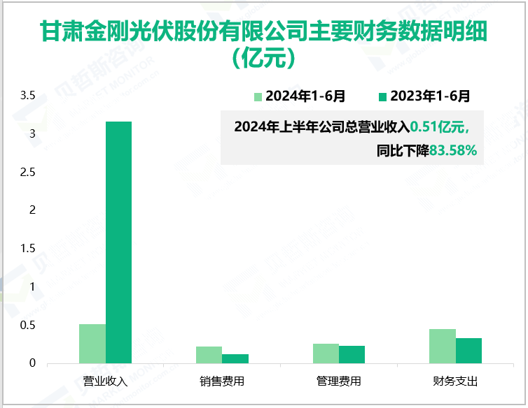 甘肃金刚光伏股份有限公司主要财务数据明细(亿元)