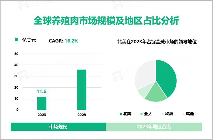 全球养殖肉市场规模及地区占比分析