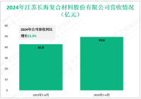 长海材料深耕于玻璃纤维及复合材料领域，其2024年营收为49.6亿元