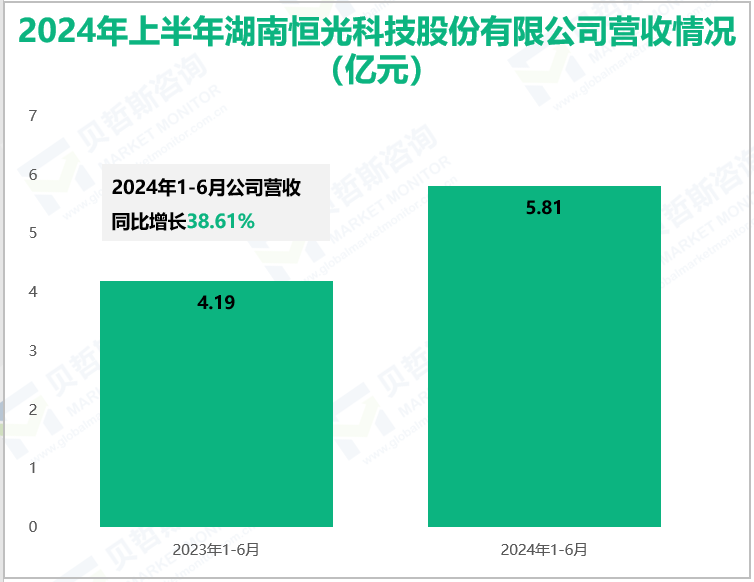 2024年上半年湖南恒光科技股份有限公司营收情况(亿元)