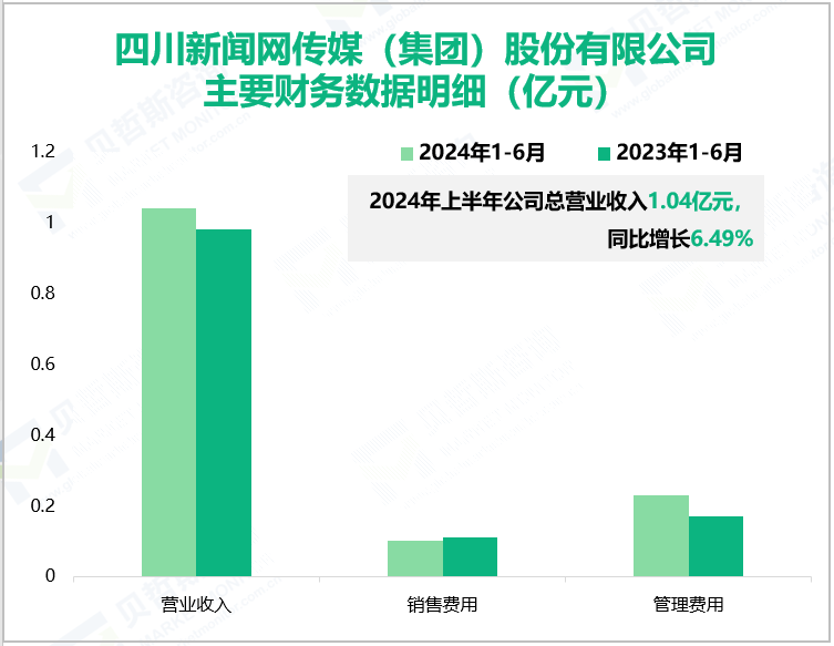 四川新闻网传媒(集团) 股份有限公司主要财务数据明细 (亿元)