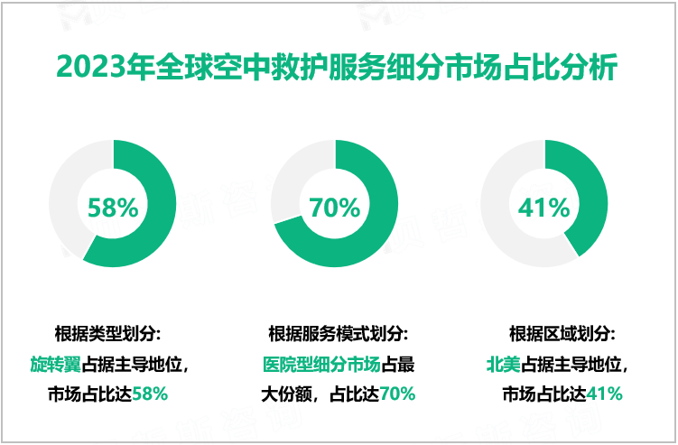 2023年全球空中救护服务细分市场占比分析