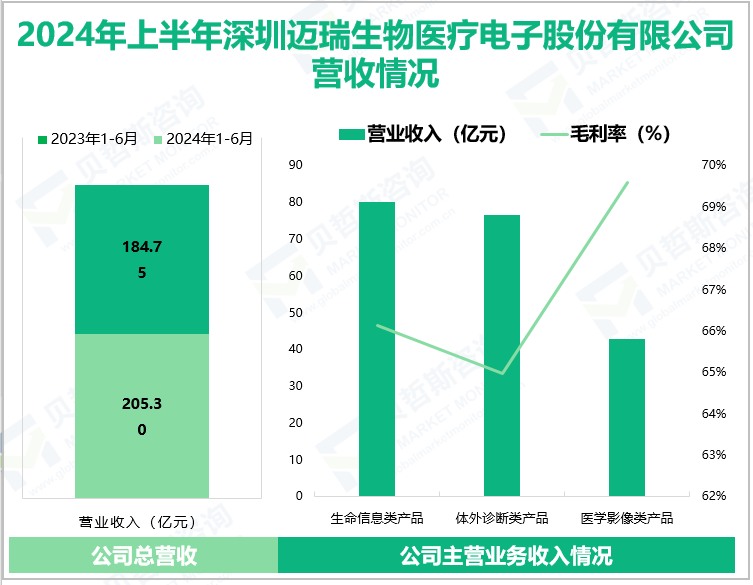 2024年上半年深圳迈瑞生物医疗电子股份有限公司营收情况