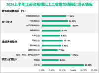 2024上半年江苏省实现地区生产总值6.33万亿元，同比增长5.8%