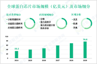 蛋白芯片行业现状：2024年全球市场规模为33.2亿美元