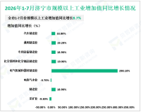2026年1-7月济宁市规模以上工业增加值同比增长8.7%、与上半年持平