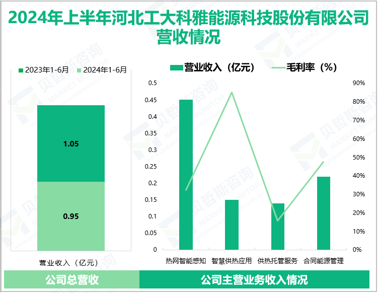 2024年上半年河北工大科雅能源科技股份有限公司营收情况