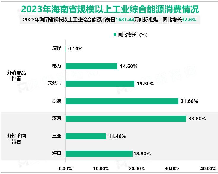 2023年海南省规模以上工业综合能源消费情况