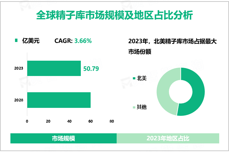 全球精子库市场规模及地区占比分析