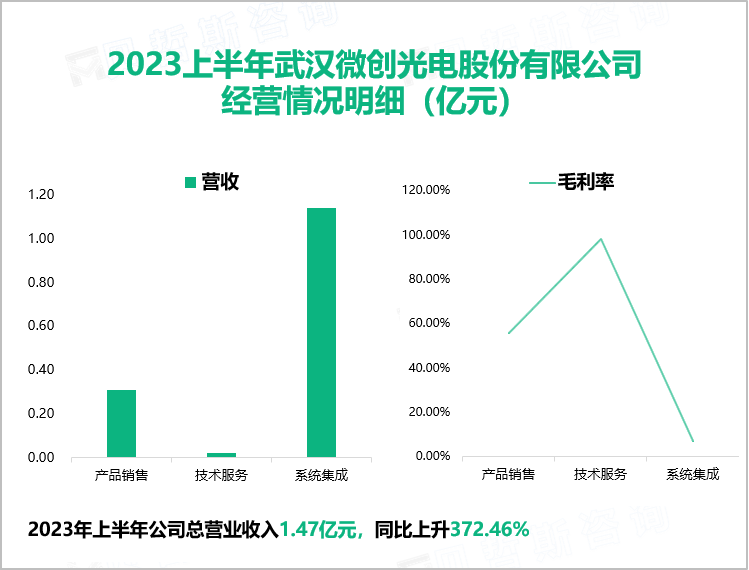 2023上半年武汉微创光电股份有限公司 经营情况明细（亿元）