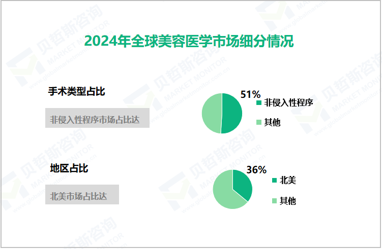 2024年全球美容医学市场细分情况