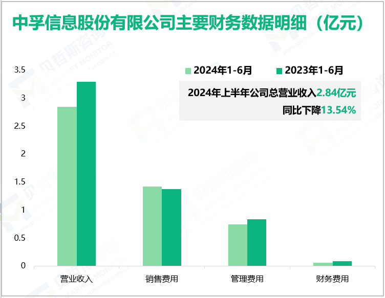 中孚信息股份有限公司主要财务数据明细(亿元)