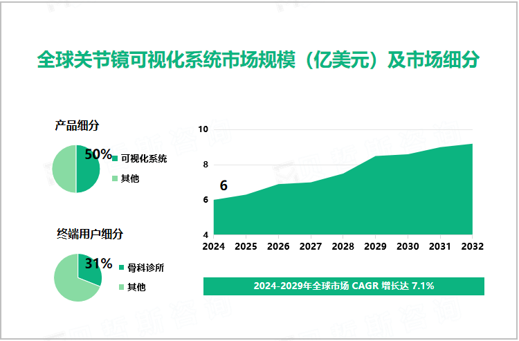 全球关节镜可视化系统市场规模（亿美元）及市场细分