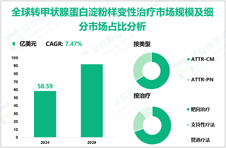 全球转甲状腺蛋白淀粉样变性治疗市场规模及细分市场占比分析