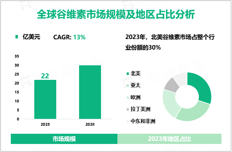 全球谷维素市场规模及地区占比分析