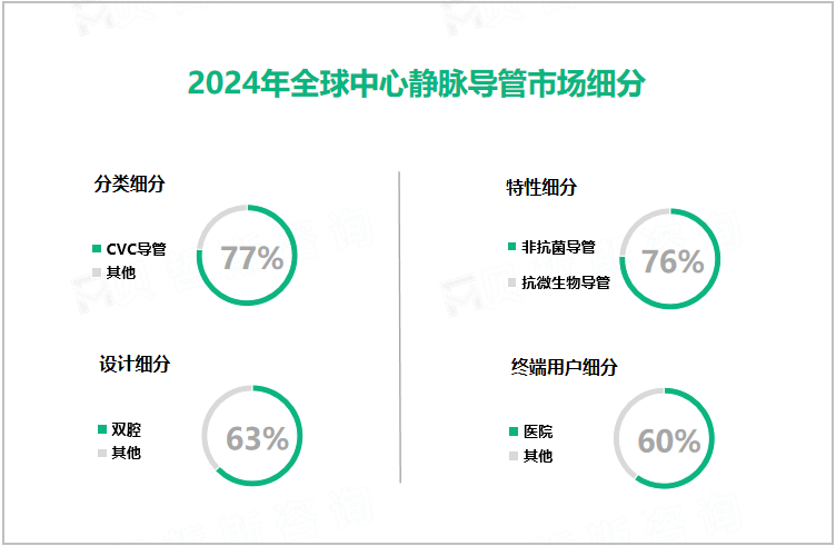 2024年全球中心静脉导管市场细分