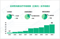 2024年青光眼治疗市场细分：前列腺素类似物市场占比达33%

