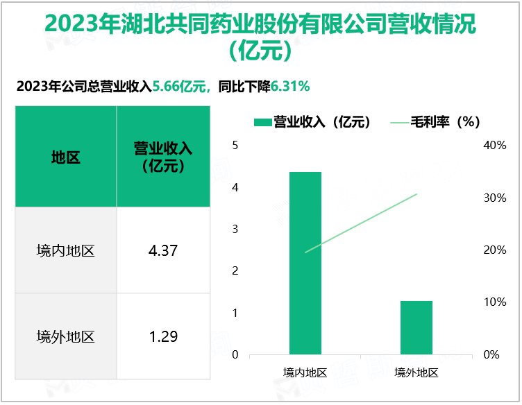 2023年湖北共同药业股份有限公司营收情况(亿元)