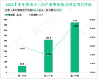 2025上半年淮南市生产总值846.2亿元，同比增长4.0%