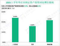 2025上半年枣庄市固定资产投资同比增长7.9%，较1-5月提高0.3%