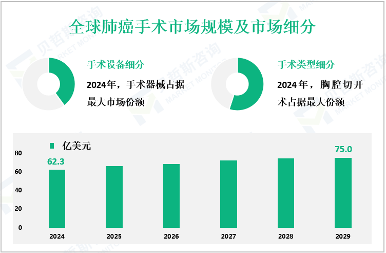 全球肺癌手术市场规模及市场细分