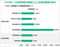 2024年1-10月防城港市规模以上工业增加值同比增长9.2%