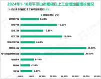 2024年1-10月平顶山市规模以上工业增加值增长5.0%