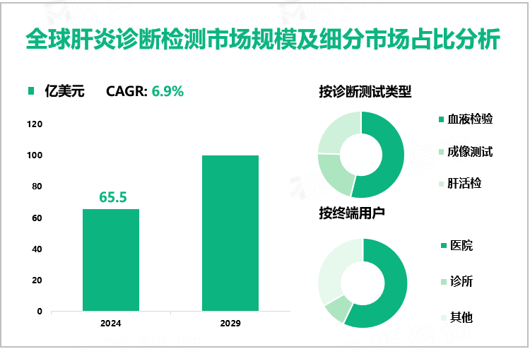 全球肝炎诊断检测市场规模及细分市场占比分析