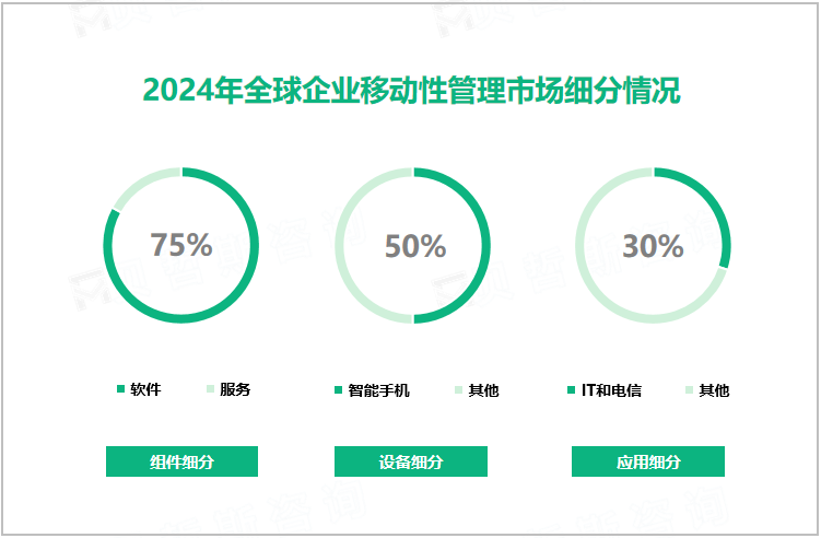 2024年全球企业移动性管理市场细分情况