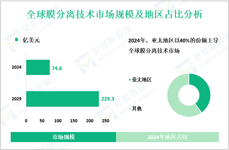 全球膜分离技术市场规模及地区占比分析