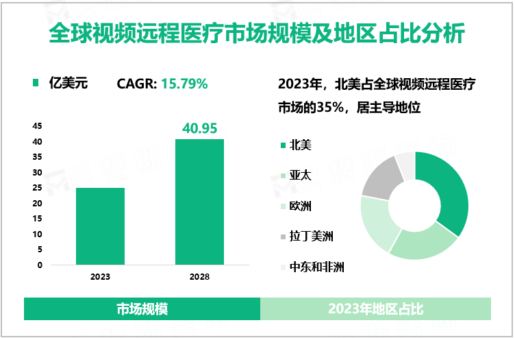 全球视频远程医疗市场规模及地区占比分析