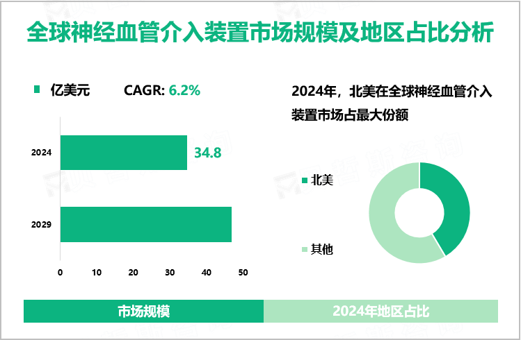 全球神经血管介入装置市场规模及地区占比分析