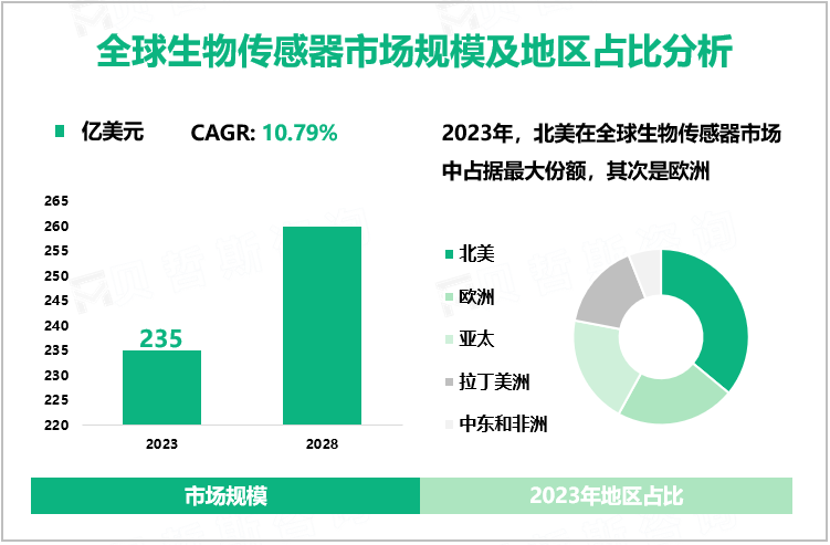 全球生物传感器市场规模及地区占比分析