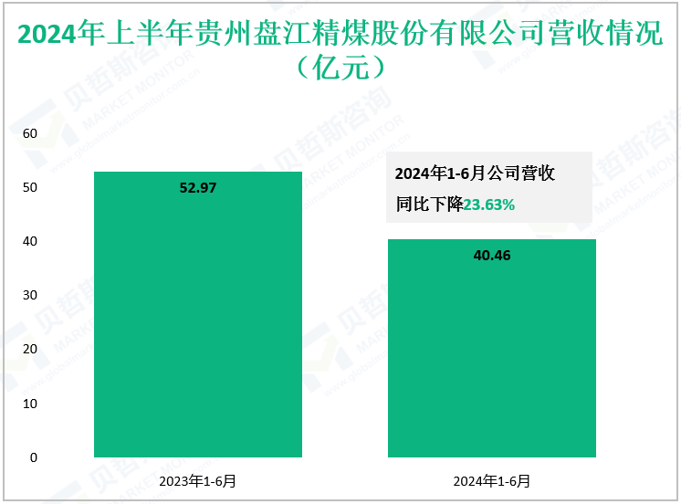 2024年上半年贵州盘江精煤股份有限公司营收情况（亿元）