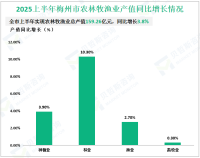 2025上半年梅州市实现地区生产总值为720.59亿元，同比增长5.7%